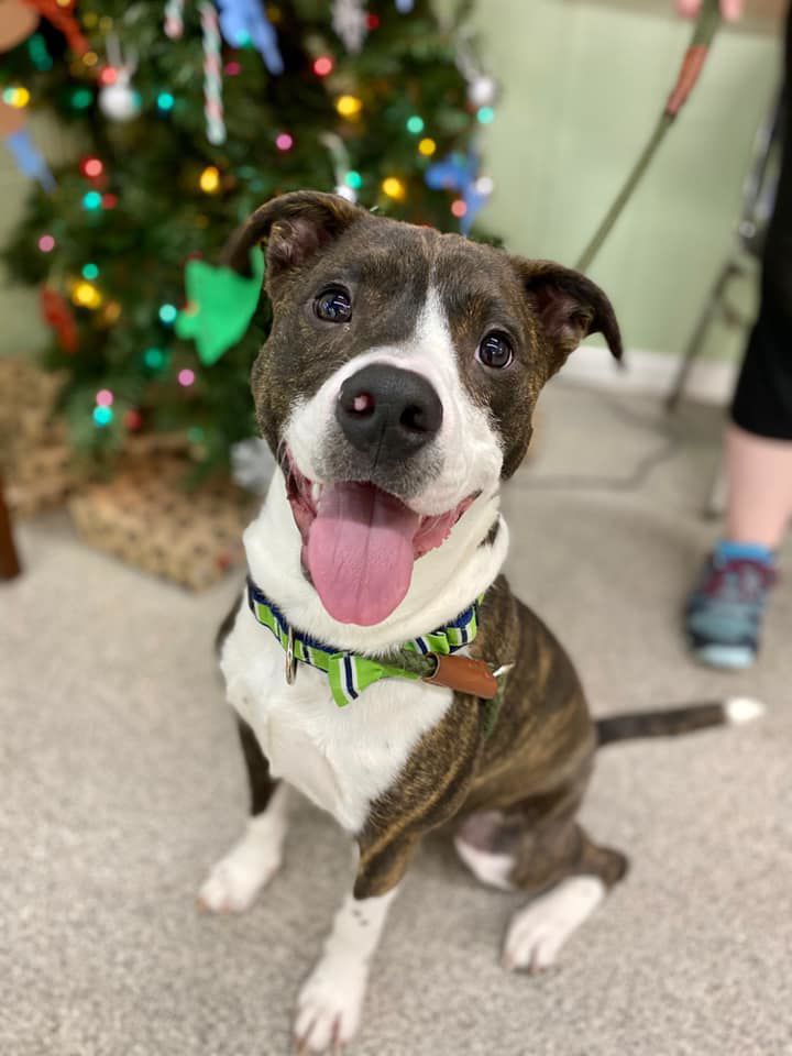 Tyson